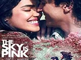 The Sky Is Pink (2019)
