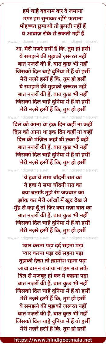 lyrics of song Hame Chahe Badnam Kar De Jamana (Meri Nazre Hasin Hai)