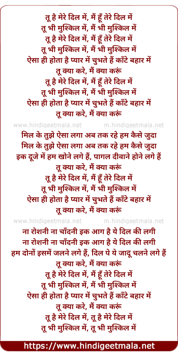 lyrics of song Tu Hai Mere Dil Mein