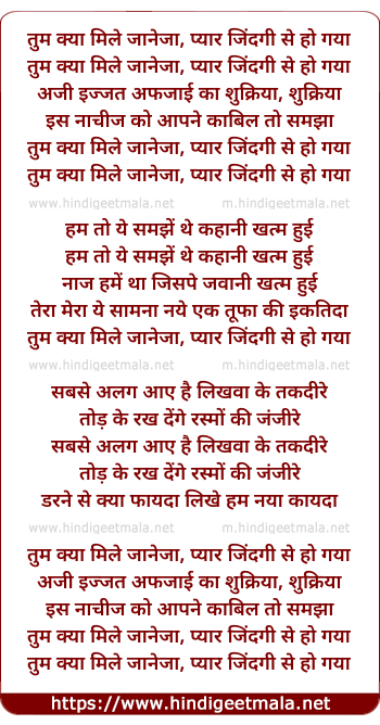 lyrics of song Tum Kya Mile Jaaneja Pyar Jindagee Se Ho Gaya