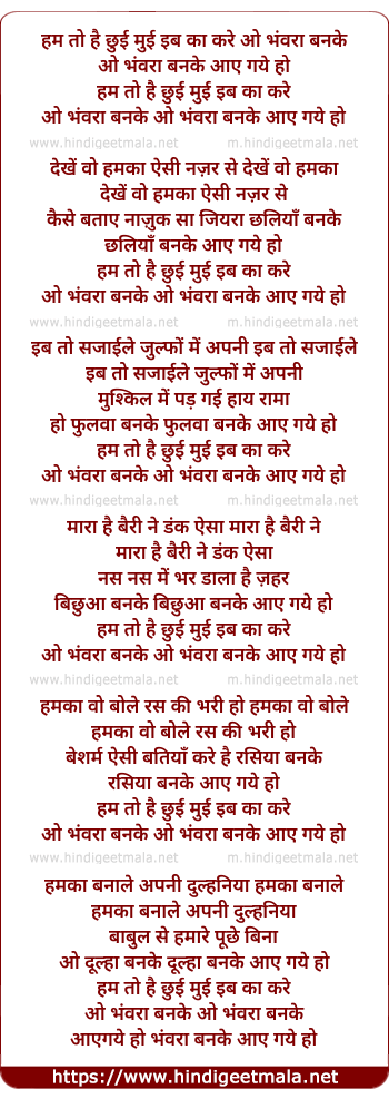 lyrics of song Ham To Hai Chhui Mui Ib Kya Kare