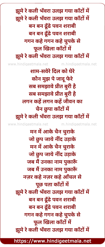 lyrics of song Jhume Re Kali Bhanvara Ulajh Gaya Kanton Me