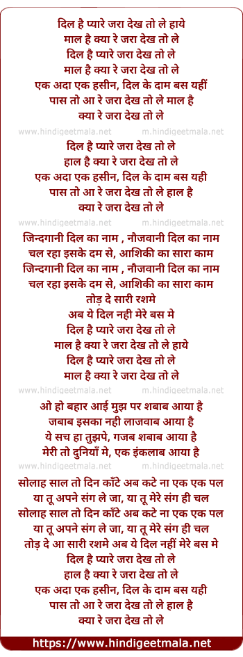 lyrics of song Dil Hai Pyare Zara Dekh To Le