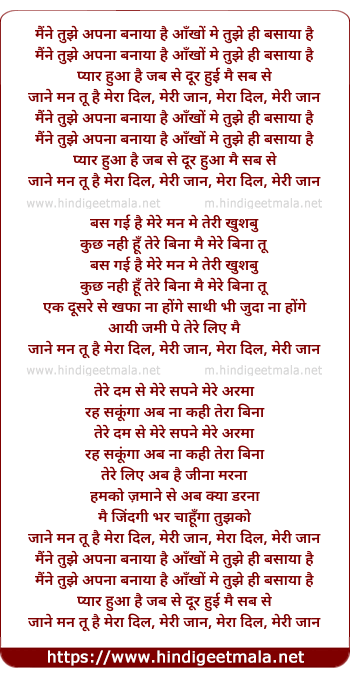 lyrics of song Maine Tujhe Apna Banaya Hai Aankhon Mein Tujhe Hi Basaya Hain
