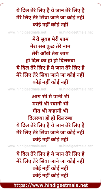 lyrics of song Ye Dil Tere Liye Hai Ye Jaan Tere Liye Hai