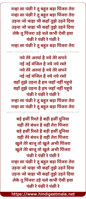 lyrics of song Nanha Sa Panchi Re Tu, Bhut Bada Pinjara Tera (Happy)