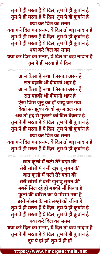 lyrics of song Tum Pe Hi Marta Hai Ye Dil, Tum Pe Hi Kurban Hai