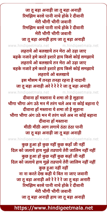 lyrics of song Jaa Tu Bada Anari