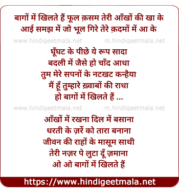 lyrics of song Bagho Me Khilte Hai Phool