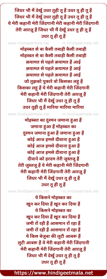 lyrics of song Jidhar Bhi Mai Dekhu Udhar Tu Hi Tu Hai