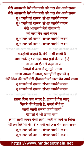 lyrics of song Meri Aawargi (Remix)