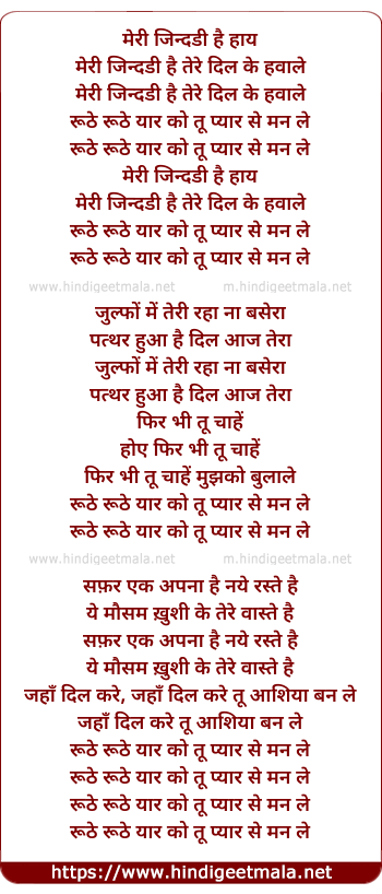 lyrics of song Meri Jindari (Remix)