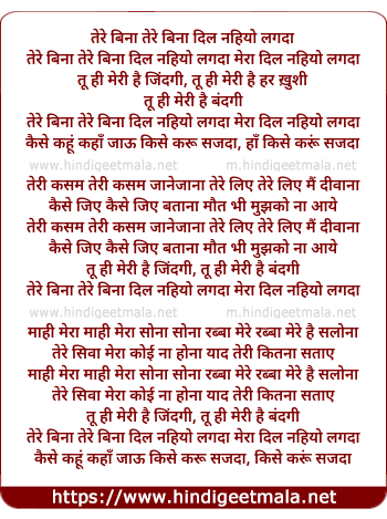 lyrics of song Tere Bina (Remix)