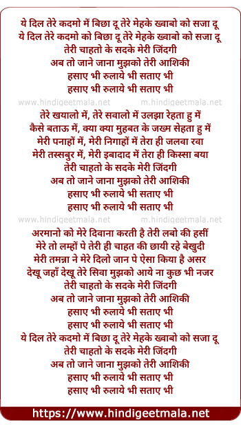 lyrics of song Hasaye Bhi Rulaye Bhi (Remix)