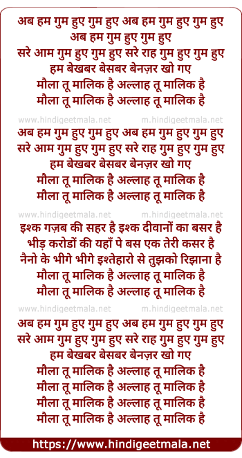 lyrics of song Ab Ham Ghum Huye (Maula Tu Malik Hai)