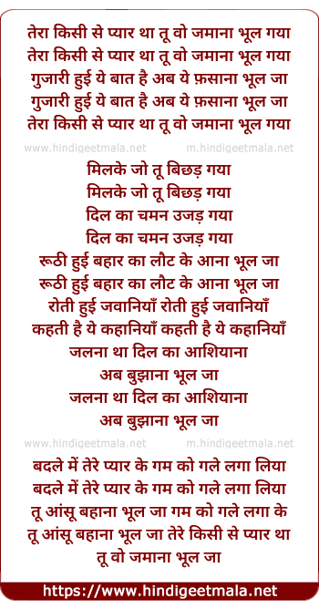 lyrics of song Tera Kisi Se Pyar Tha Tu Wo Zamana