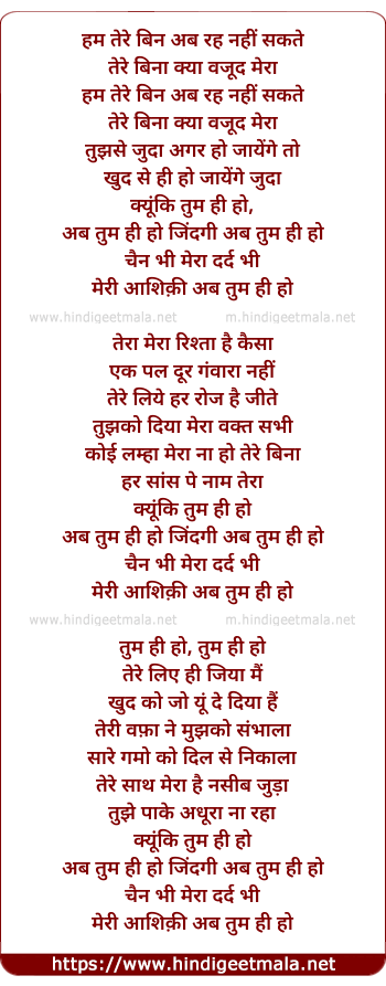 lyrics of song Ab Tum Hi Ho (Ham Tere Bin Ab Rah Nahi Sakte)
