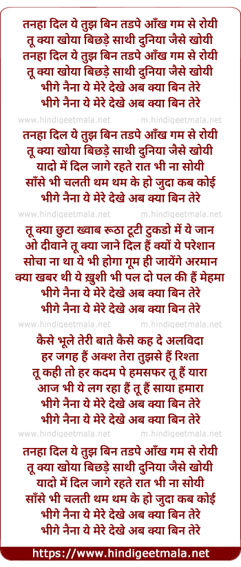 lyrics of song Bhige Naina Ye Mere Dekhe Ab Kya