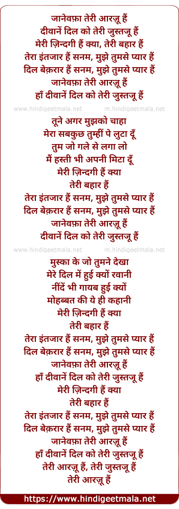 lyrics of song Jaane Wafaa Teri Aarzoo Hai (Male)