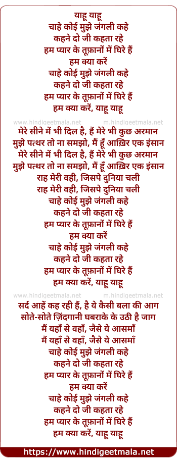 lyrics of song Yahu Chahe Koi Mujhe Junglee Kahe