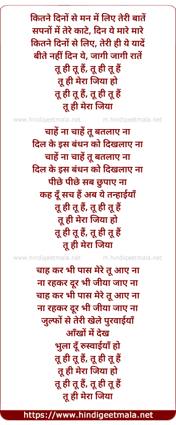 lyrics of song Tu Hi Tu Hai