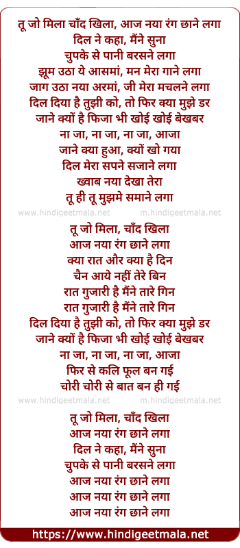 lyrics of song Tu Jo Mila