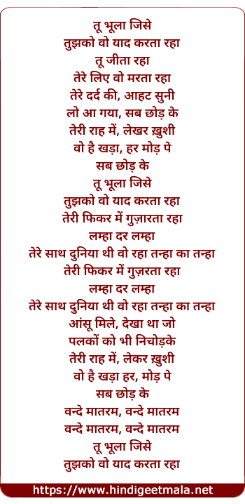 lyrics of song Tu Bhoola Jise