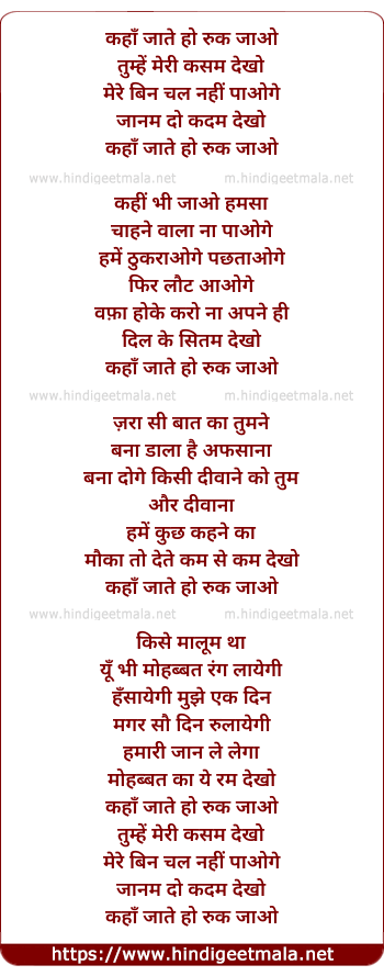 lyrics of song Kahan Jaate Ho Ruk Jao (Male)